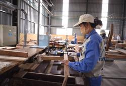 Thủ tướng nhấn mạnh mục tiêu tăng trưởng 2 con số cho năm 2026