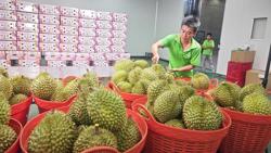 Cục Hải quan chỉ đạo ưu tiên thông quan mặt hàng sầu riêng