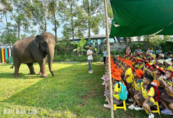 Hấp dẫn trải nghiệm hè cùng muông thú