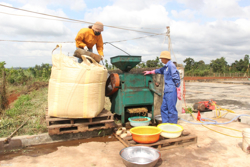 Đẩy mạnh hỗ trợ hợp tác xã nông nghiệp trong tái cơ cấu ngành nông nghiệp