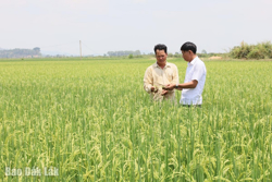 Nơi khởi nguyên của những “thương hiệu” nông sản