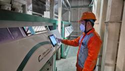 Rào cản với doanh nghiệp xuất khẩu gạo