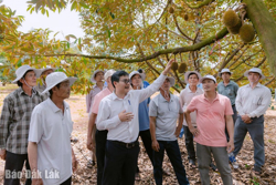 Gỡ vướng cho sầu riêng Việt Nam trên “đấu trường” xuất khẩu