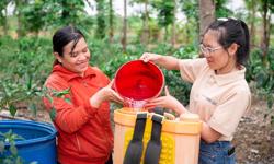 Tây Nguyên xanh lên nhờ phụ nữ làm nông bền vững