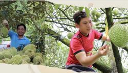 Hành động quyết liệt và đồng bộ để giữ vững thị trường sầu riêng