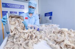 Tổ yến của Việt Nam xuất chính ngạch sang Trung Quốc thu về hơn 1 triệu USD/tấn