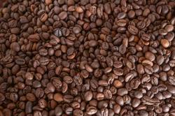 Xem xét thu mua nông sản có nguy cơ rớt giá trong mùa thu hoạch rộ