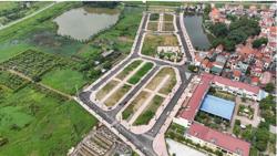 Thường trực Chính phủ yêu cầu xử lý nghiêm hành vi thổi giá, tạo sốt ảo bất động sản