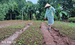 Cần đẩy nhanh tiến độ Dự án Khu tái định cư thôn 1, xã Hòa Thắng