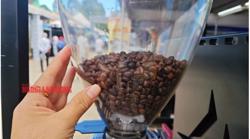 Giá cà phê hôm nay 11-6: Giảm sâu 3 con số