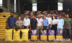 Huyện Krông Ana: Cấp 151 tấn phân bón cho nông dân