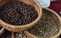 Giá cà phê hôm nay 12-6: Giảm tiếp, về sát mốc 110.000 đồng/kg