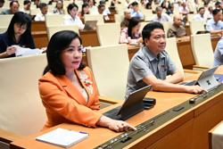 Sắp xếp đơn vị hành chính cấp tỉnh năm 2025: Tổ chức lại không gian phát triển