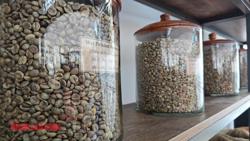 Giá cà phê hôm nay 13-6: Diễn biến trái chiều, Arabica tiếp tục giảm sâu