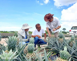 Huyện Krông Bông: Nhiều hợp tác xã hoạt động cầm chừng