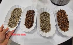 Giá cà phê hôm nay 16-6: Bao giờ xả kho?