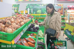 Triển khai Chương trình “Tháng khuyến mại tập trung quốc gia 2025 – Vietnam Grand Sale 2025”