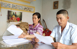 85 bao lúa "hóa bùn" vì bị ngăn cản, không cho vận chuyển (!?)