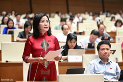 Kỳ họp thứ Chín, Quốc hội khóa XV: Xuất khẩu nông sản cần đi trên “con đường cao tốc chính sách”