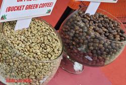 Giá cà phê hôm nay 19-6: Giảm sâu kỷ lục, thấp nhất 1 năm qua