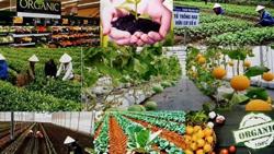 Điều chỉnh cơ cấu sản xuất nông nghiệp phù hợp thị trường