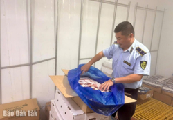 Xử lý 84 vụ vi phạm trong đợt cao điểm kiểm tra, kiểm soát thị trường