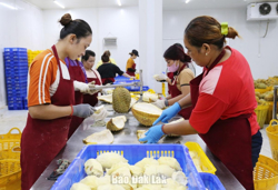 Quản lý chặt chẽ việc sử dụng chất phụ gia, chất hỗ trợ chế biến nông sản