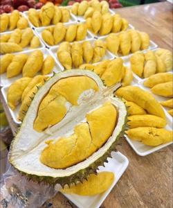 Xuất khẩu sầu riêng đông lạnh: Mở rộng cánh cửa cho nông sản Việt