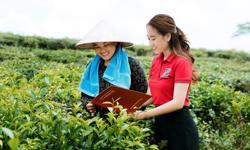 Vay sản xuất nông nghiệp nếu gặp thiên tai sẽ không bị xếp vào nợ xấu