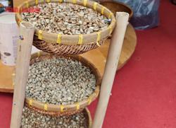 Giá cà phê hôm nay 26-6: Đua nhau cắt lỗ