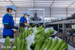 Điều chỉnh kịp thời các hoạt động quản lý, điều hành kinh tế - xã hội