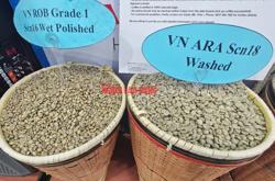 Giá cà phê hôm nay 3-6: Thủng mốc 4.500 USD/tấn