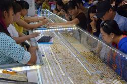 Giá vàng hôm nay, 3-6: Tăng vọt giữa căng thẳng thương mại