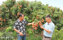 Ea Kar phát huy vai trò kinh tế tập thể