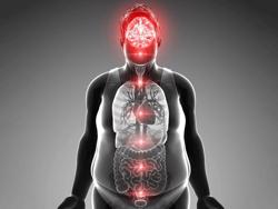 Nghiên cứu Mỹ cảnh báo các món ăn khiến bạn "đứng ngồi không yên"