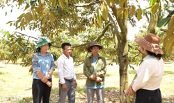 Cùng nông dân sản xuất an toàn