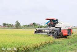 Chuyển từ “xây dựng” sang “kiến tạo”: Tư duy mới cho nông thôn mới