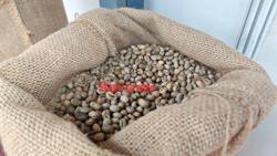 Giá cà phê hôm nay 4-6: Giảm tiếp, Đức chi gần gấp đôi để mua cà phê Việt