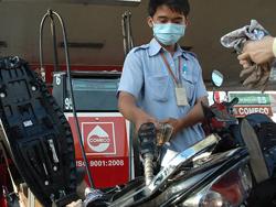 Giá xăng dầu tăng lần thứ hai liên tiếp