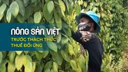 Nông sản Việt trước thách thức thuế đối ứng: Hồ tiêu vẫn làm chủ cuộc chơi