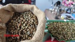 Giá cà phê hôm nay 6-6: Đảo chiều tăng vọt