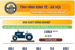 Tình hình kinh tế - xã hội tháng Năm và 5 tháng đầu năm 2025