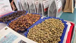 Giá cà phê hôm nay 10-7: Lao dốc mạnh, sao xuất khẩu lại lập kỷ lục?