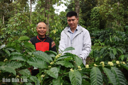 Trao thưởng cho giải pháp thích ứng với biến đổi khí hậu của ngành cà phê