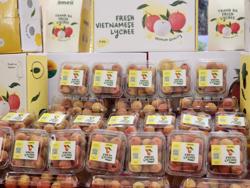 Xuất khẩu rau quả trở lại "đường đua"