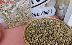 Giá cà phê hôm nay 12-7: Rơi tiếp, mốc 90.000 đồng/kg cũng không còn