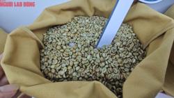 Giá cà phê hôm nay 14-7: Liệu có phục hồi khi có thêm nhiều lợi thế?