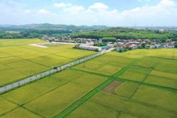 Đề xuất mức thu mới khi chuyển đất nông nghiệp sang đất ở