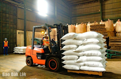 Đắk Lắk có một doanh nghiệp được vinh danh trong hoạt động xuất khẩu