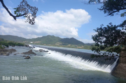 Vụ Hè Thu 2025: Chủ động các phương án để đồng ruộng không "khát"